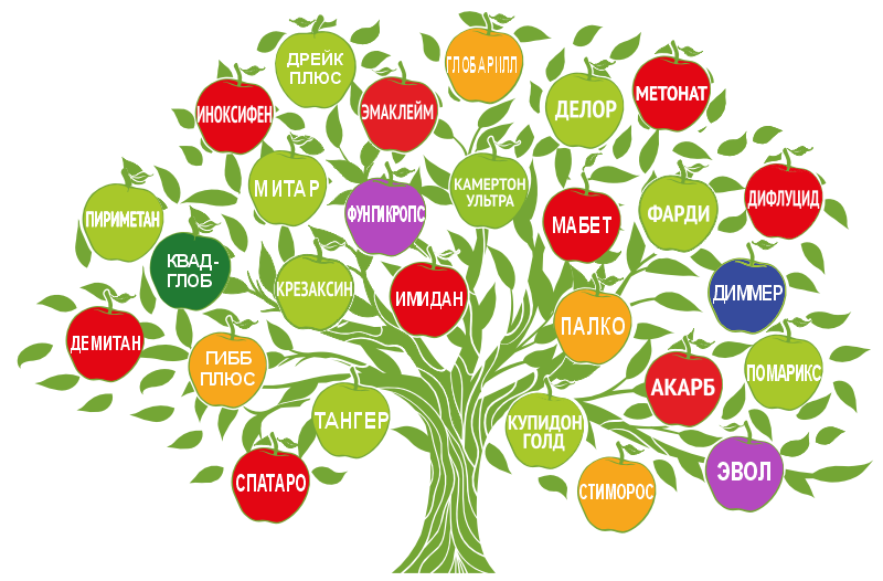 Профессиональный подход и высококлассное обслуживание
