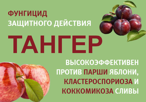 Тангер, КС — надежный защитник вашего сада, СКОРО НА СКЛАДЕ!