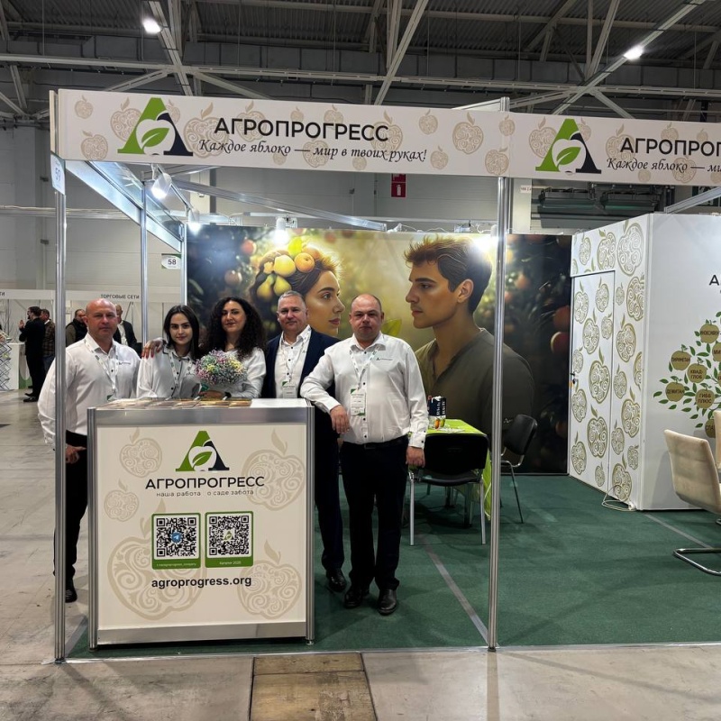 Выставка 6.pg