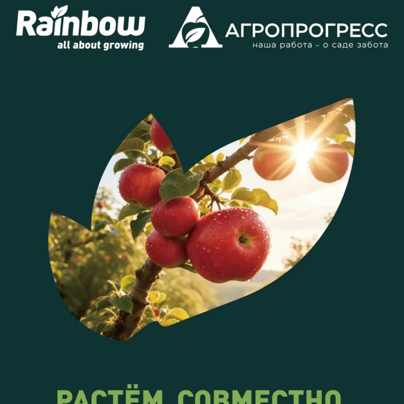 растем совместно (1)